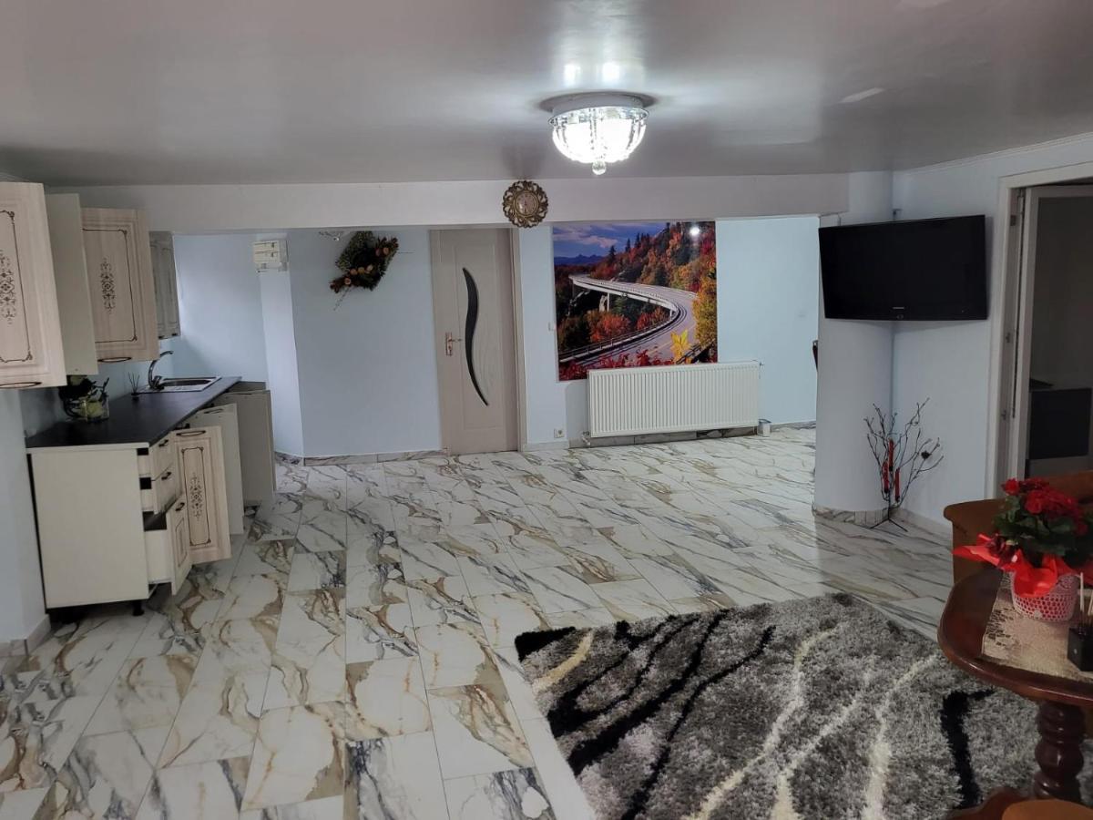 Apartament Cu Terasa Si Gratar Leilighet Satu Mare Eksteriør bilde