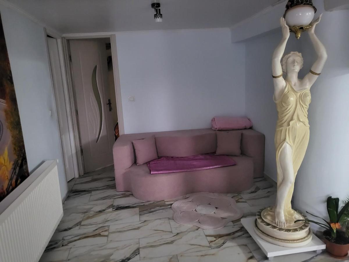Apartament Cu Terasa Si Gratar Leilighet Satu Mare Eksteriør bilde